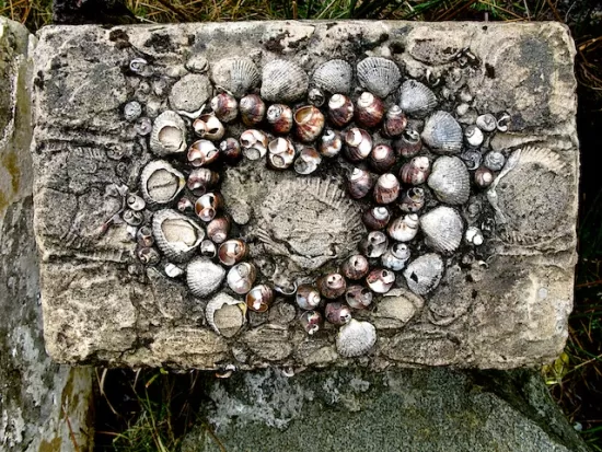 Heart made of seashells, set in concrete