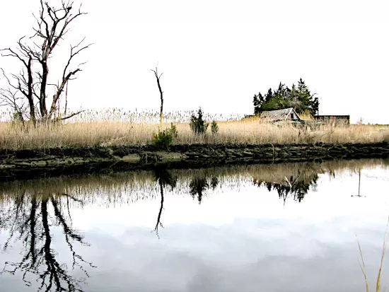 Reflections in stll pond