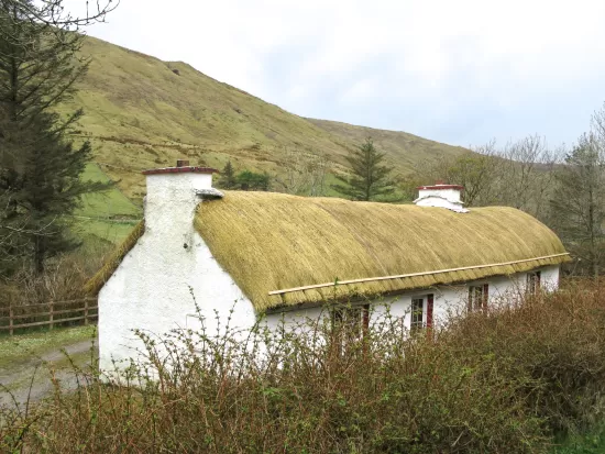 Thatched roof cottage
