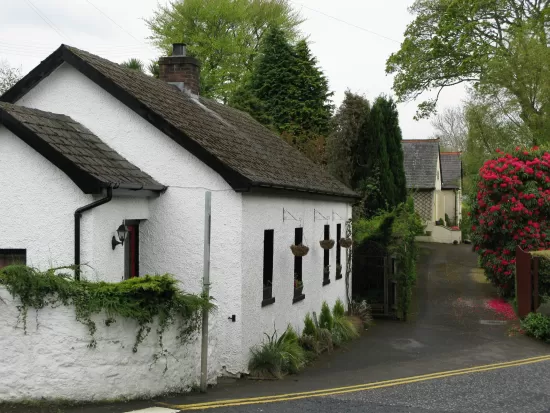 Lanscaped lane in Ireland