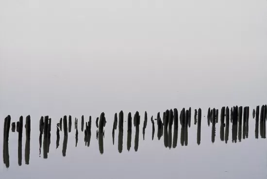 Black and white photo of of pilings reflected in water